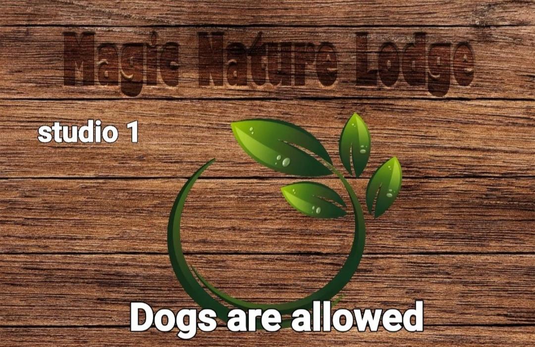 Magic Nature Lodge Марван Номер фото